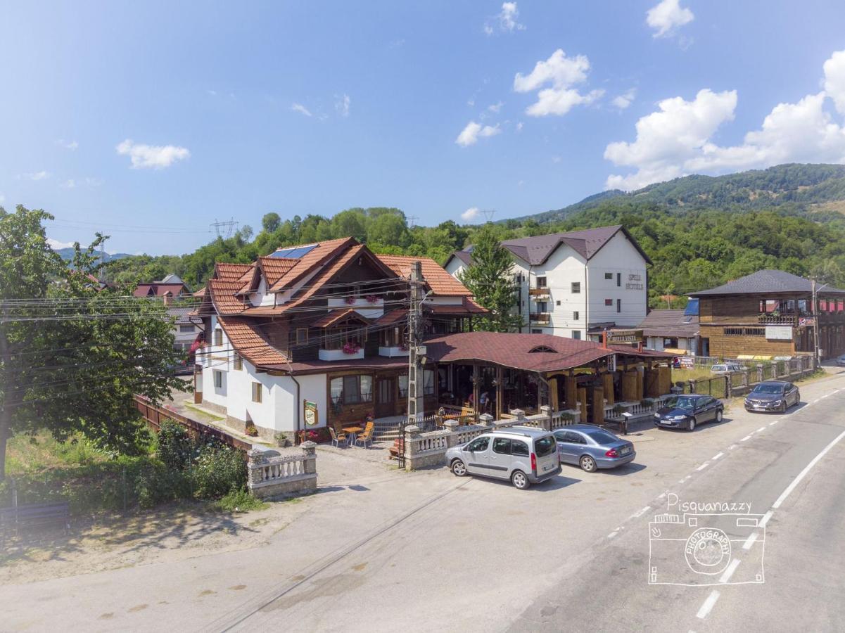 Pensiunea Bella Vista Arefu Dış mekan fotoğraf